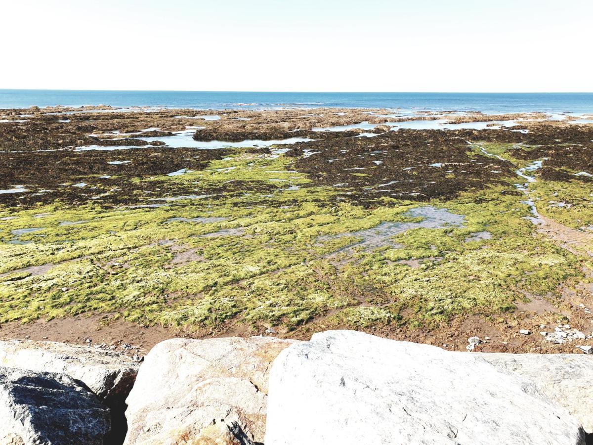 Le Temps D'Une Pause Brétignolles-sur-Mer Zewnętrze zdjęcie